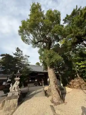 神館神社(三重県)