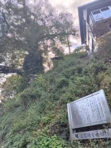 武蔵御嶽神社(東京都)