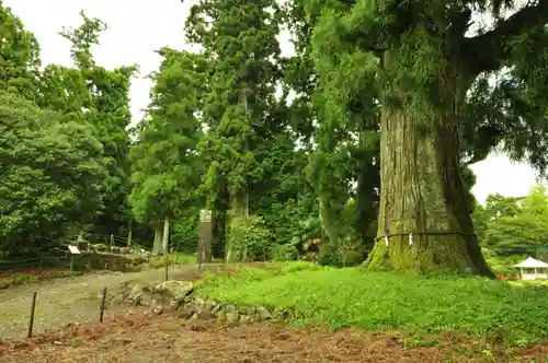 村山浅間神社(静岡県)