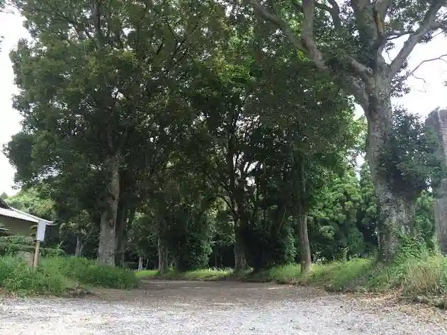 皇宮神社(宮崎神宮摂社)の自然