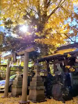 小野照崎神社(東京都)