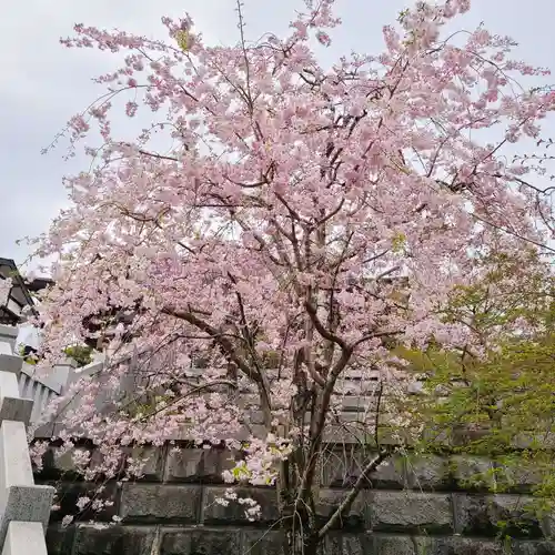 尊永寺(静岡県)