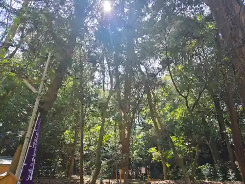 星田妙見宮(大阪府)