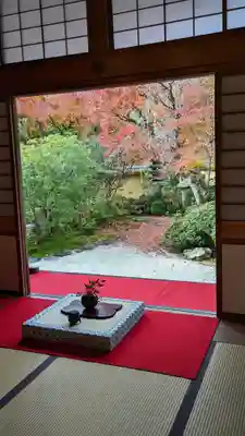 光明寺（粟生光明寺）(京都府)