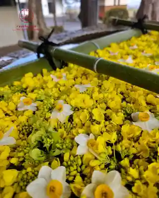 立志神社(滋賀県)