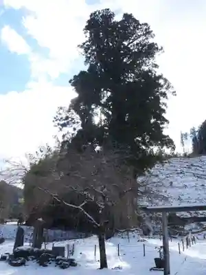 月瀬神社(長野県)