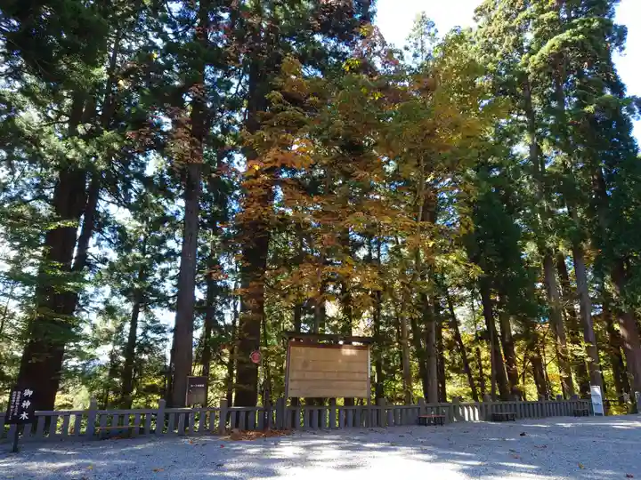 戸隠神社中社(長野県)