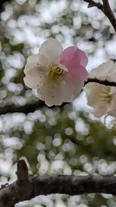 智積院(京都府)