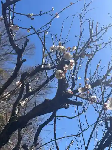 根岸八幡神社(神奈川県)