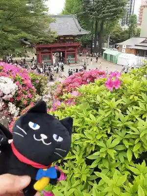 根津神社(東京都)