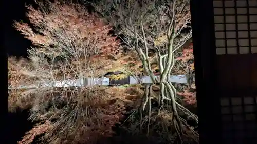 妙覺寺（妙覚寺）(京都府)