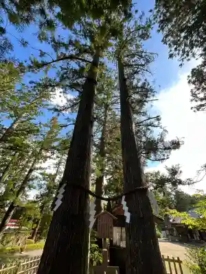 大崎八幡宮(宮城県)