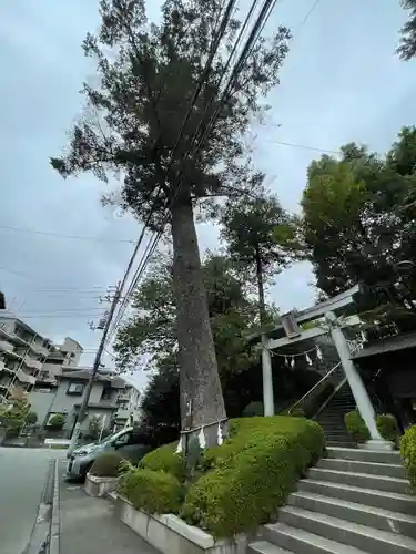 長津田王子神社(神奈川県)