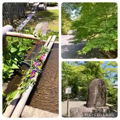 二尊院(京都府)