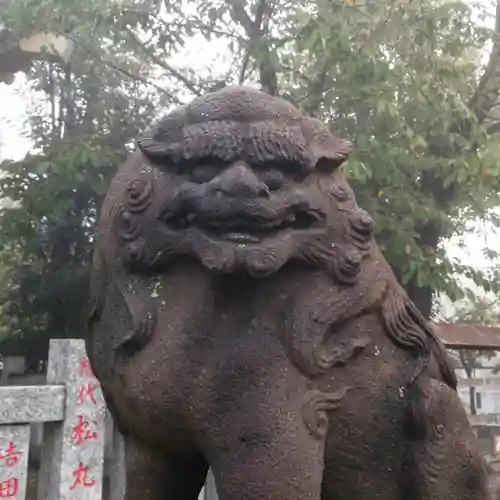 白髭神社の狛犬