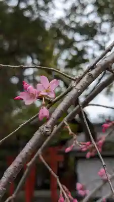 岡崎神社(京都府)