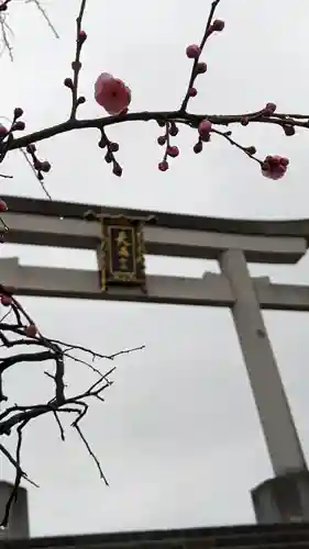 長岡天満宮(京都府)