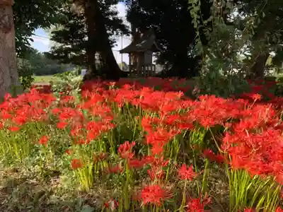 天神社(千葉県)