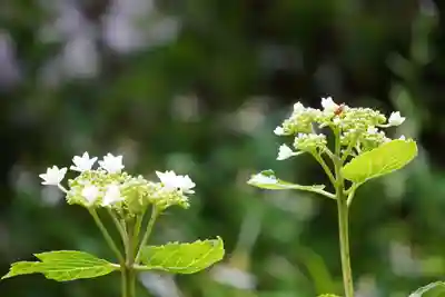 尻岸内八幡神社(北海道)
