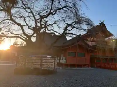 富士山本宮浅間大社(静岡県)