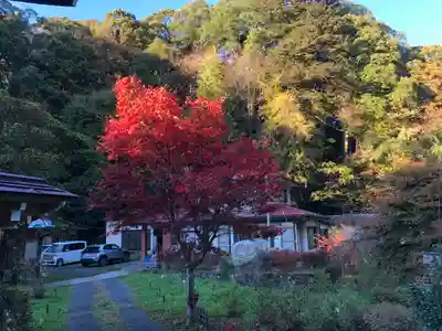 鷲子山上神社のその他建物