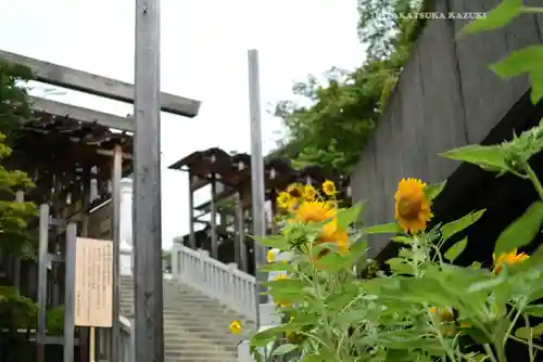 伊勢山皇大神宮(神奈川県)