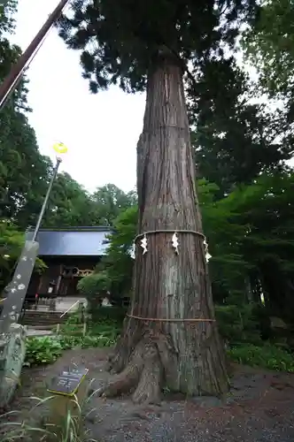 河口浅間神社(山梨県)