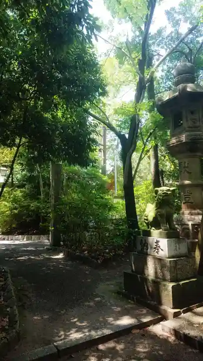 尾張大國霊神社(国府宮)の狛犬