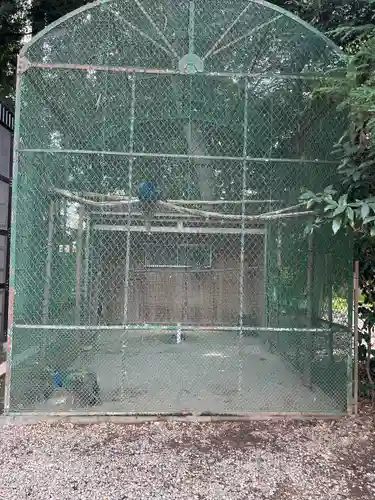 岩槻久伊豆神社(埼玉県)