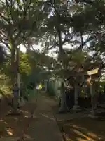 八幡大神(千葉県)