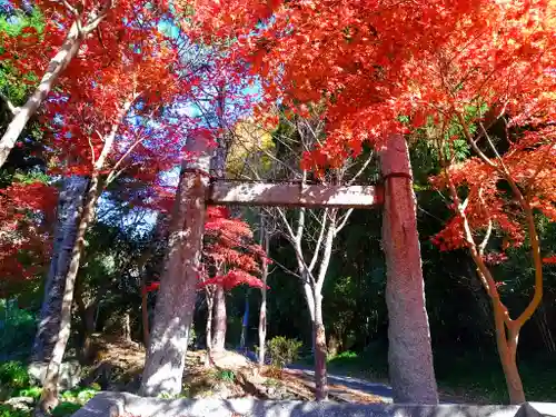 性海寺の山門