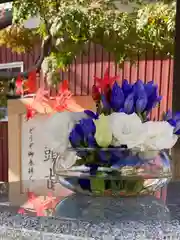 新川皇大神社の手水