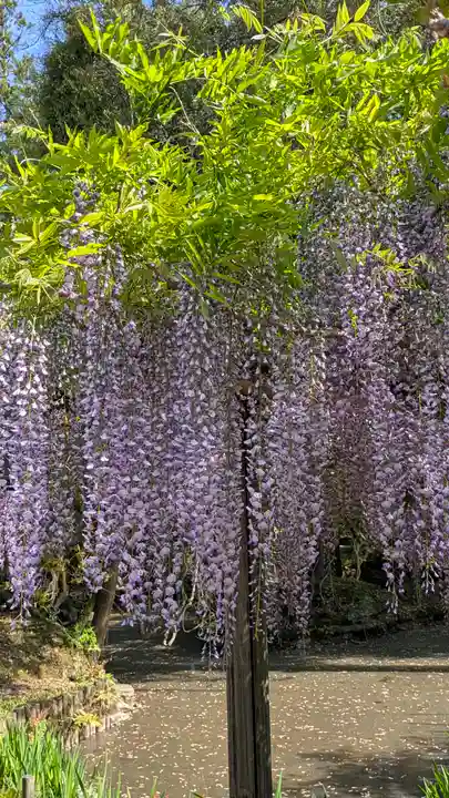 歌泉堂(春日大社神苑萬葉植物園内鎮座)(奈良県)