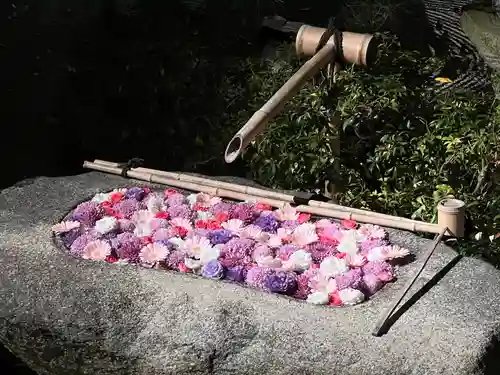 妙顯寺（妙顕寺）(京都府)