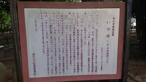 師岡熊野神社の歴史