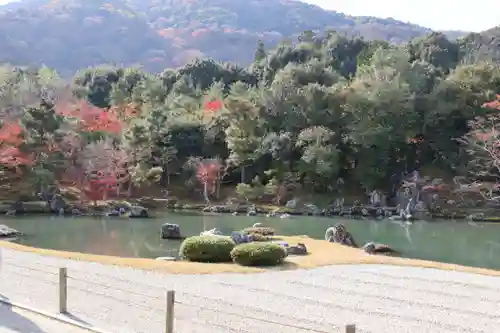 天龍寺の庭園