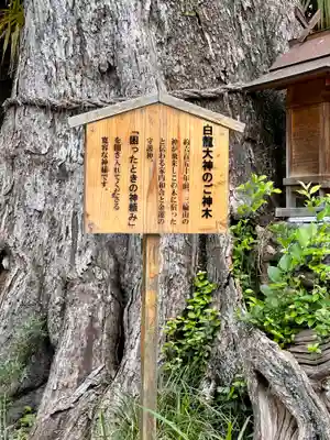 吉祥草寺(奈良県)
