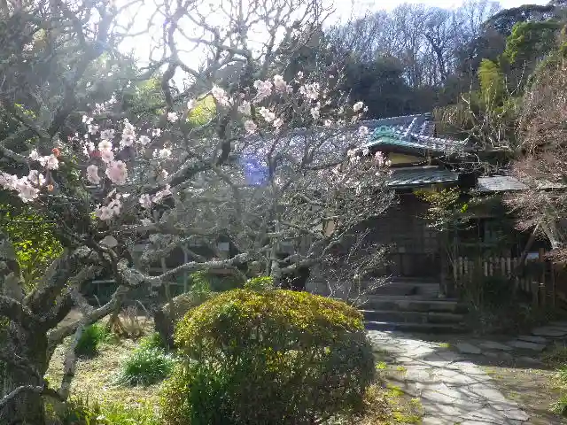 英勝寺の庭園