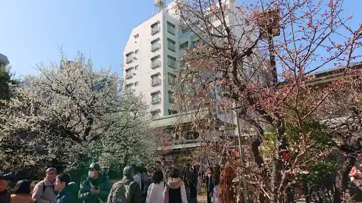 湯島天満宮の庭園