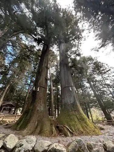 河口浅間神社(山梨県)