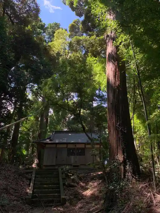 諏訪神社(千葉県)