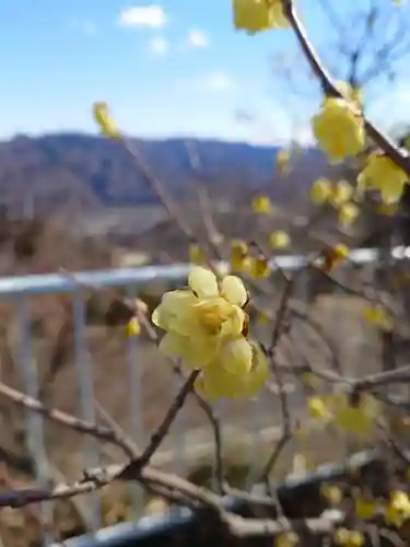 宝登山神社奥宮(埼玉県)