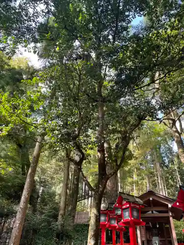 貴船神社結社(京都府)