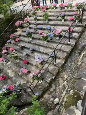長谷寺(奈良県)