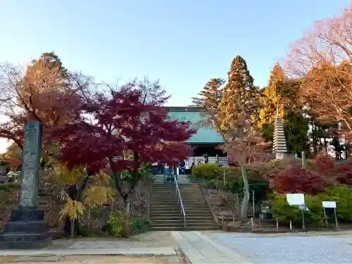 本土寺(千葉県)