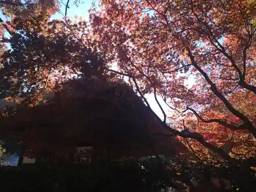 長壽寺（長寿寺）(神奈川県)
