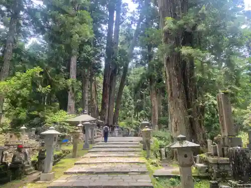 高野山金剛峯寺奥の院(和歌山県)