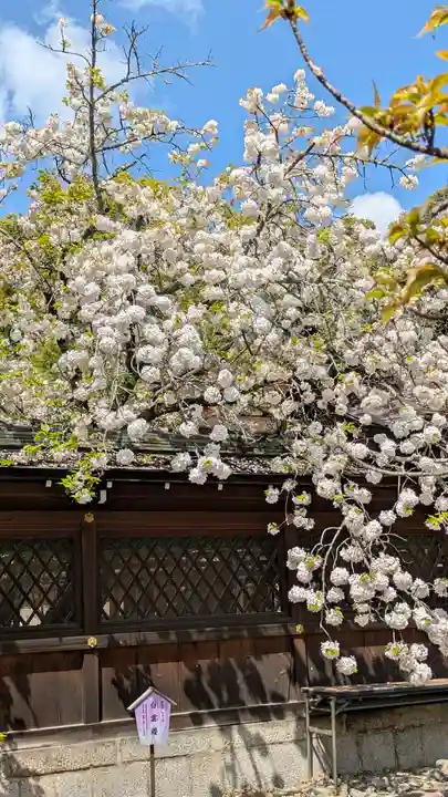 平野神社(京都府)