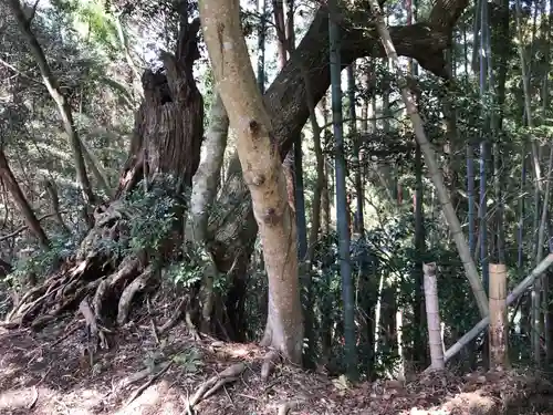 旧愛宕神社の周辺