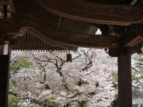 時宗総本山 遊行寺（正式：清浄光寺）の景色